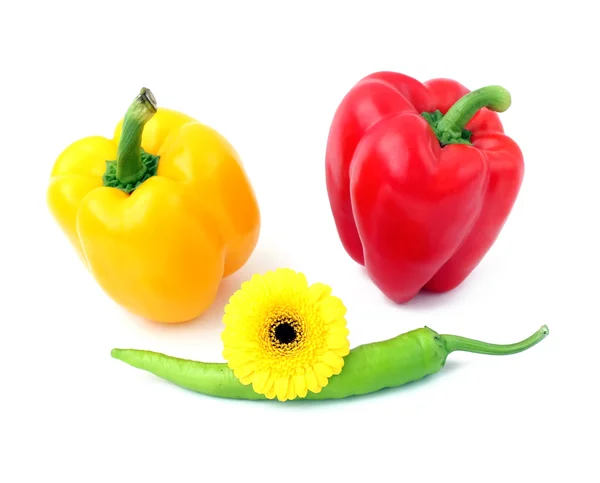 Red yellow and green pepper — Stock Photo, Image