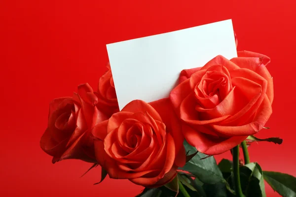 Rosas rojas con tarjeta —  Fotos de Stock
