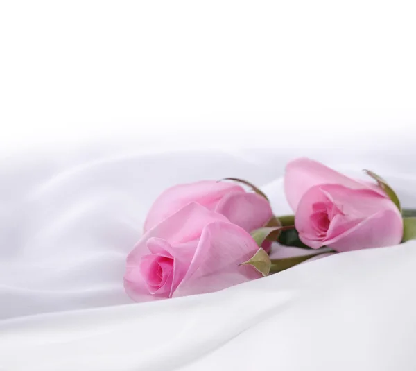 絹のバラ — ストック写真