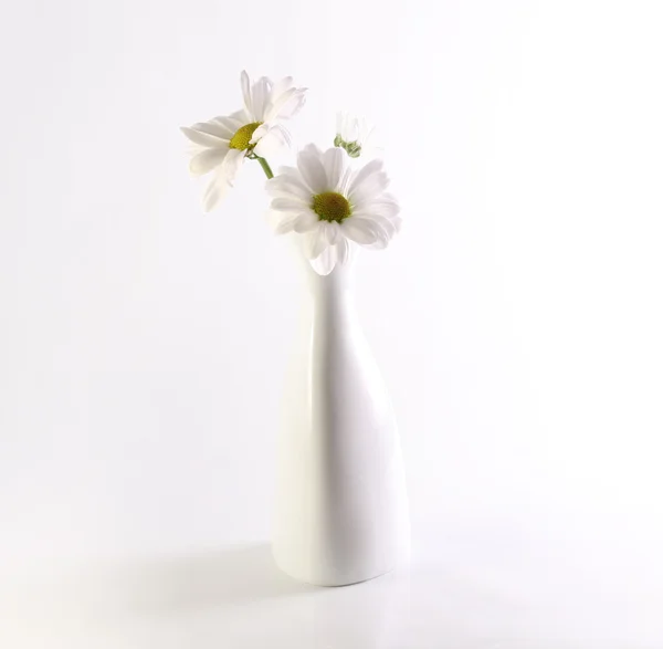 Florero con flor — Foto de Stock
