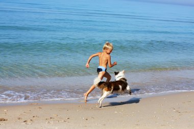 denizin üzerinde köpek oynama çocuk