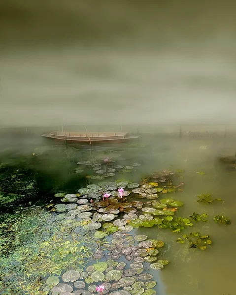 연못 — 스톡 사진