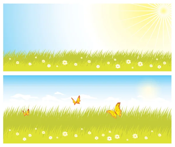 Background with grass and sky — Stock Vector