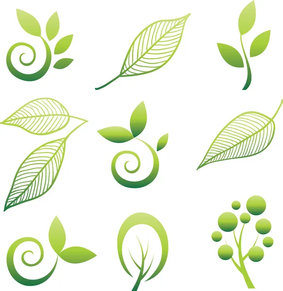 Conjunto de elementos de diseño de hojas — Vector de stock