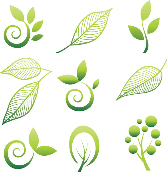 Set of leaf design elements