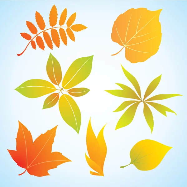 Autumn leaf — Stock Vector