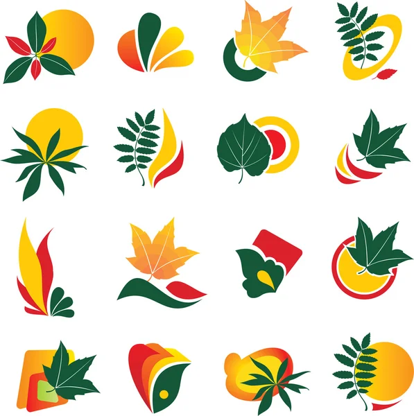 Set of leaf logo — Stock Vector