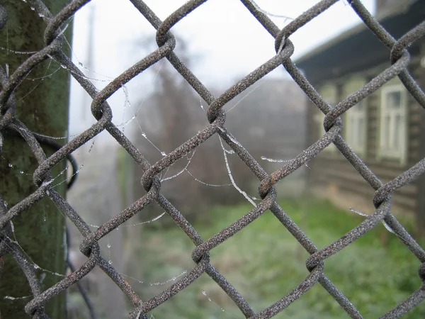 Makró fagyasztott kerítés — Stock Fotó