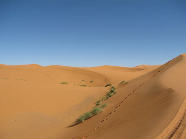 Пески пустыни с отпечатками ног — стоковое фото