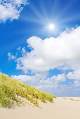 plaj ve dunes güzel güneş ışığı ile