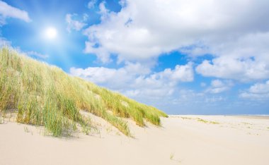 Beach and dunes with beautiful sunlight clipart