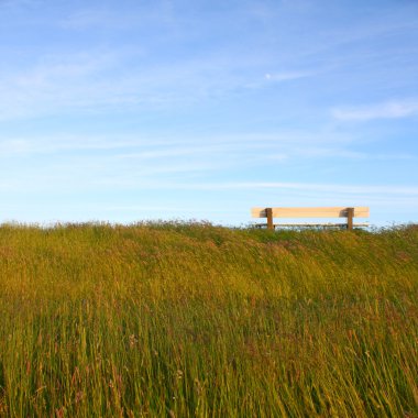 tezgah ile pastoral çim