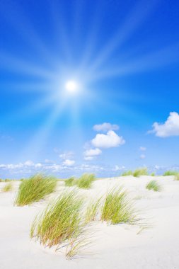 Beach and dunes clipart