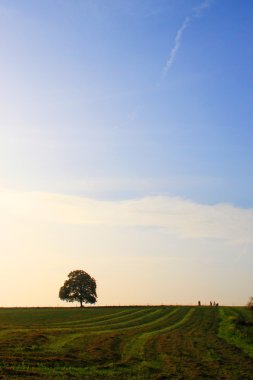 Idyllic meadow with tree clipart