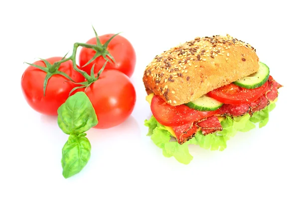 stock image Fresh sandwich