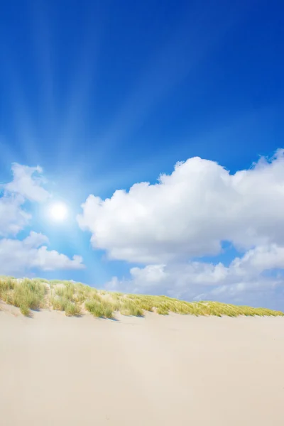 Beach and dunes with beautiful sunlight — Stock Photo, Image