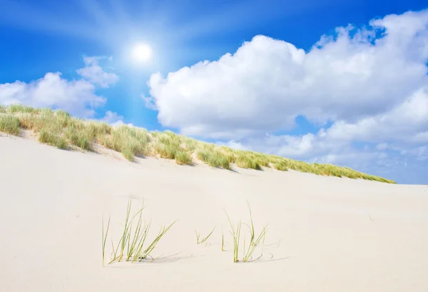 Пляж и дюны с прекрасным солнечным светом — стоковое фото
