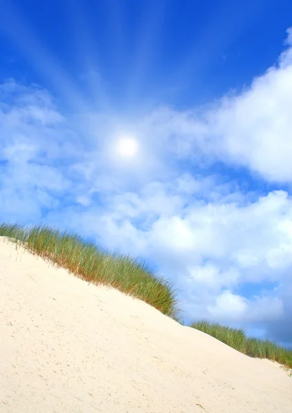 Пляж і дюни з красивим сонячним світлом — стокове фото