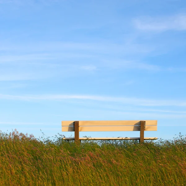 Идиллическая лужайка со скамейкой — стоковое фото