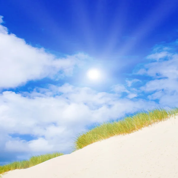Idyllische duinen met zonlicht — Stockfoto