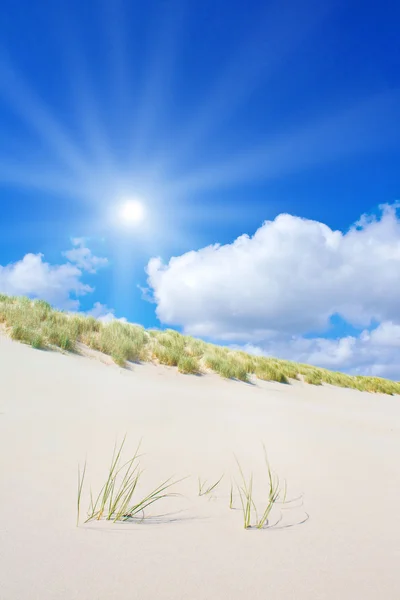 Playa y dunas con hermosa luz del sol — Foto de Stock