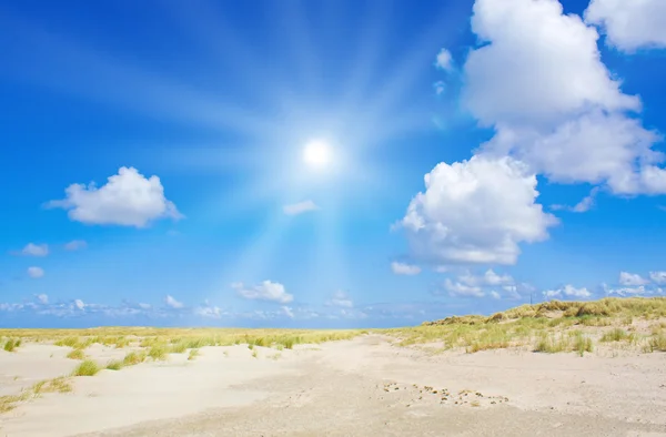 Strand en de duinen met prachtige zonlicht — Stockfoto