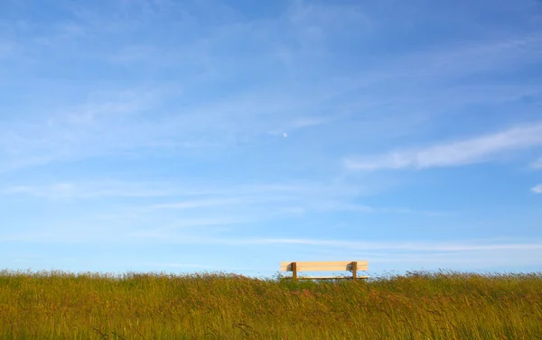 stock image Idyllic lawn with bench