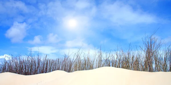 Güneş ışığı ile pastoral tepeleri — Stok fotoğraf