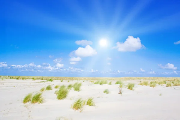 Пляж и дюны с прекрасным солнечным светом — стоковое фото