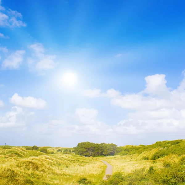 Idylliczne wydmy z światło słoneczne — Zdjęcie stockowe