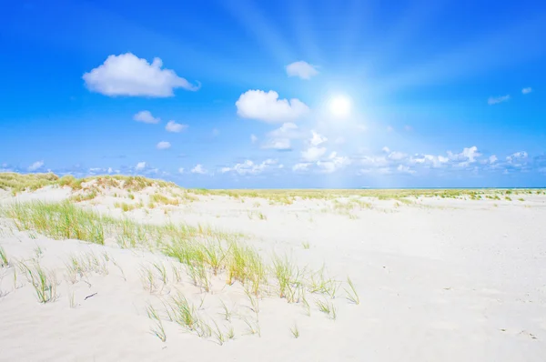 Praia e dunas com bela luz solar — Fotografia de Stock