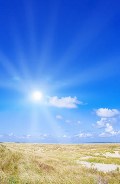 日光と牧歌的な砂丘 — ストック写真