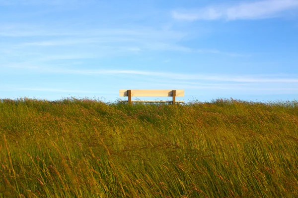 Идиллическая лужайка со скамейкой — стоковое фото