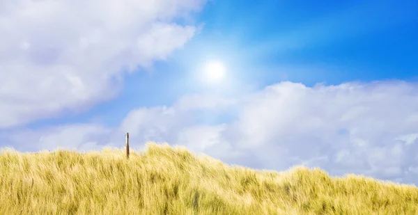 Dunes idylliques avec lumière du soleil — Photo