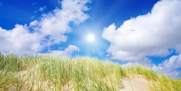 Dunes idylliques avec lumière du soleil — Photo