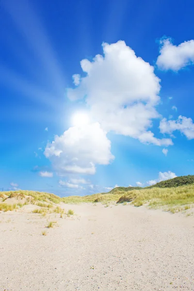 ビーチと美しい日光と砂丘 — ストック写真