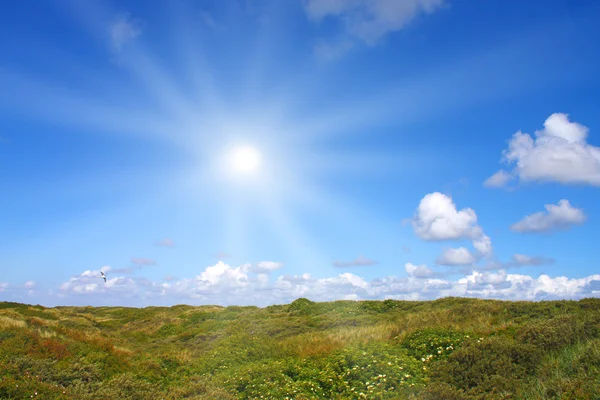 Ідилічні дюни з сонячним світлом — стокове фото