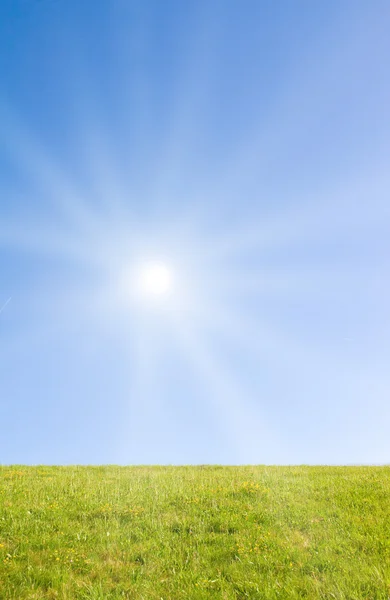 Idyllisk gräsmatta med solljus — Stockfoto