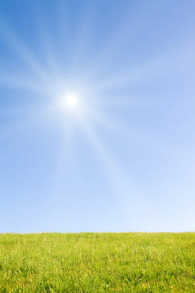 陽射しの強い牧歌的な芝生 — ストック写真
