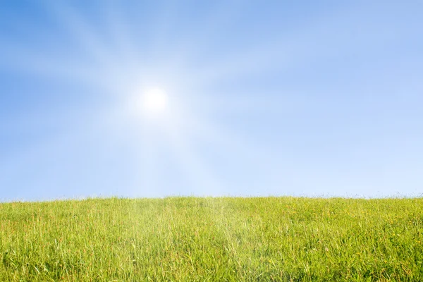 Ідилічний газон з сонячним світлом — стокове фото