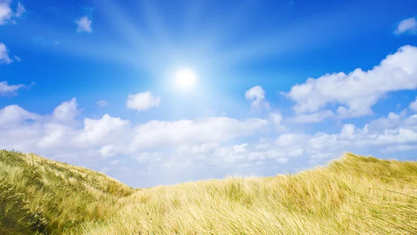 Idyllische Dünen mit Sonnenlicht — Stockfoto