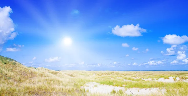 日光と牧歌的な砂丘 — ストック写真