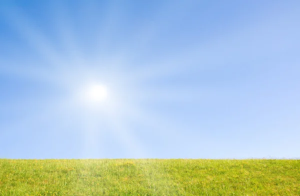 有阳光的石榴石草坪 — 图库照片