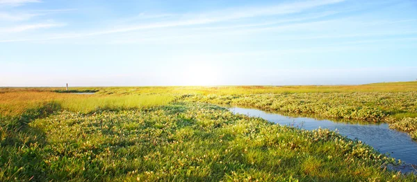Ідилічний газон з потоком і сонячним світлом — стокове фото