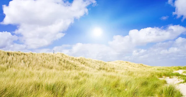 Dune idilliache con luce solare — Foto Stock