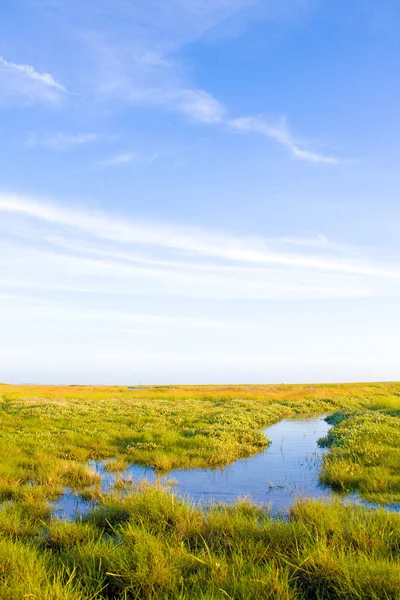Dere ve güneş ışığı ile pastoral çim — Stok fotoğraf