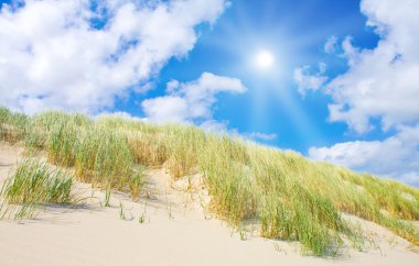 Beach and dunes with beautiful sunlight clipart