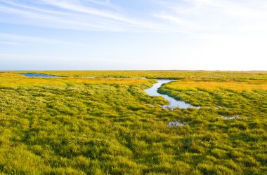 dere ve güneş ışığı ile pastoral çim