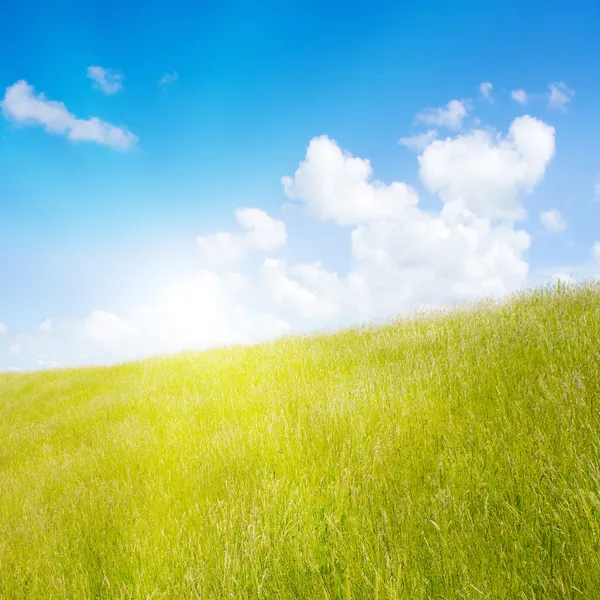 햇빛이 있는 목가적 인 잔디밭 — 스톡 사진
