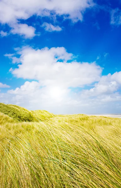 Idylliska sanddyner med solljus — Stockfoto
